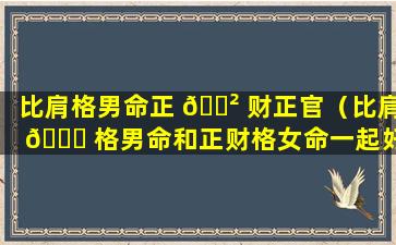 比肩格男命正 🌲 财正官（比肩 🐕 格男命和正财格女命一起好吗）